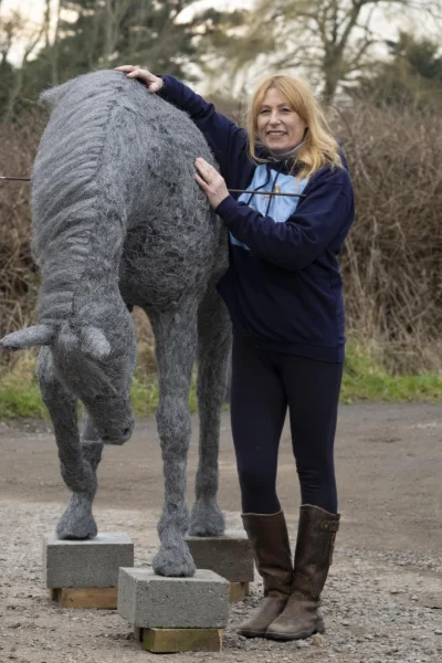 horse front