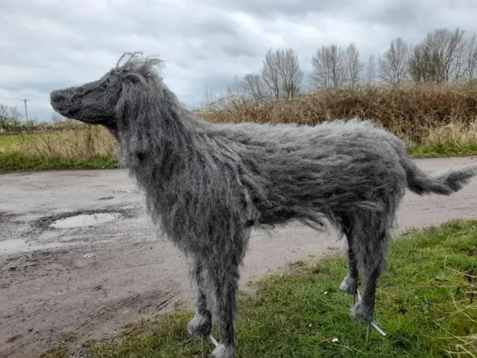 Picture of a Dog