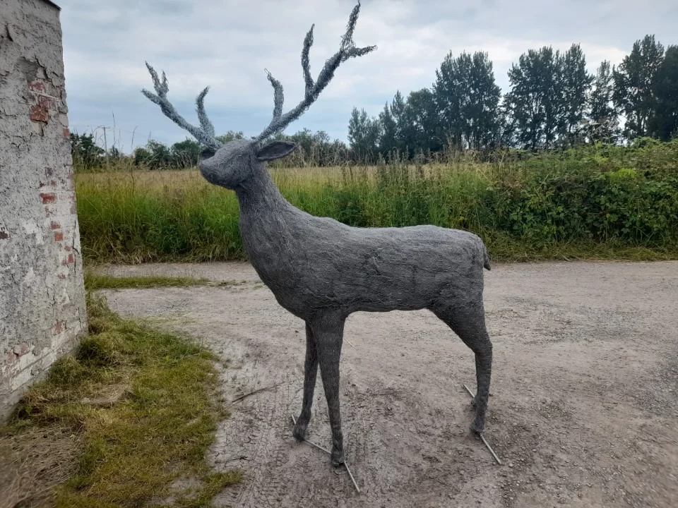 Wildlife